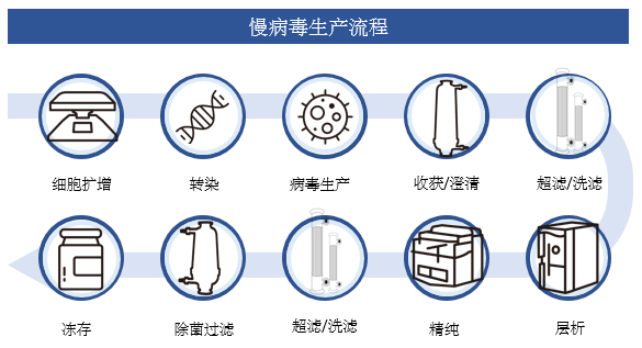 慢病毒