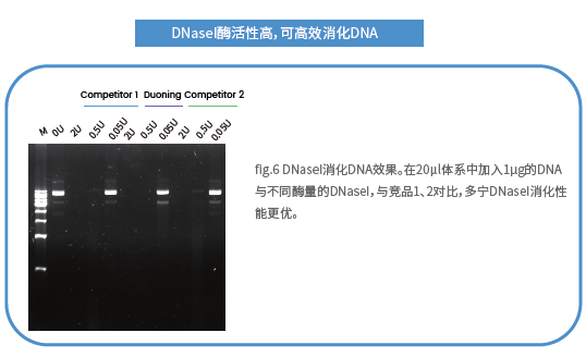 mRNA體外合成一站式解決方案