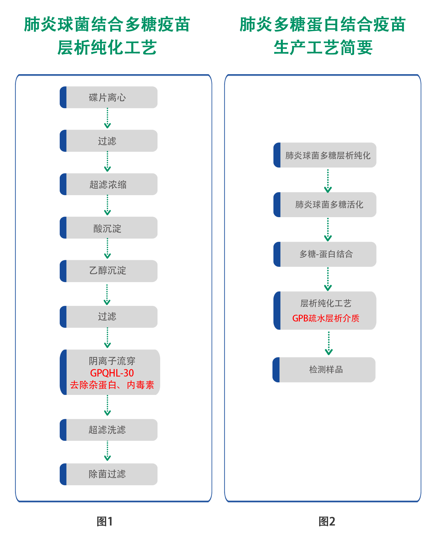 大孔層析介質(zhì)助力肺炎多糖和多糖蛋白結(jié)合疫苗的純化