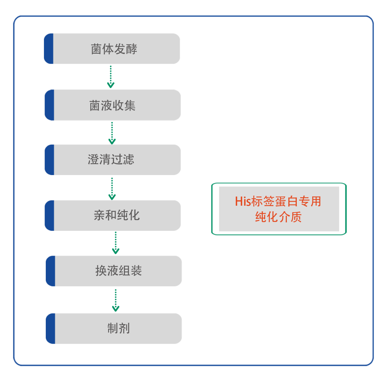 口蹄疫疫苗純化工藝路線之重組標(biāo)簽蛋白工藝