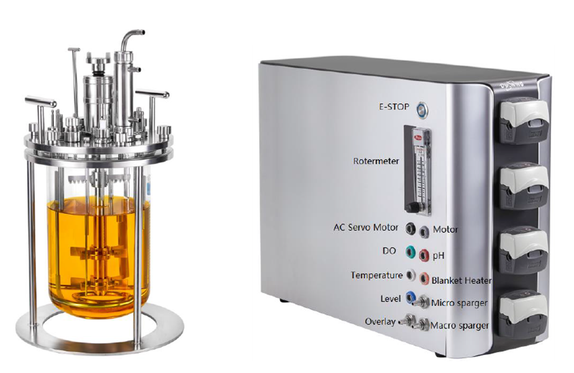 DuoBioX? Explore Multi-Parallel Benchtop Glass Fermenter