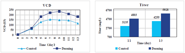 CHO Serum-free Cell Culture Medium