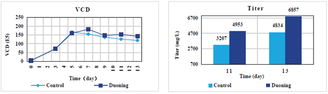 CHO Serum-free Cell Culture Medium