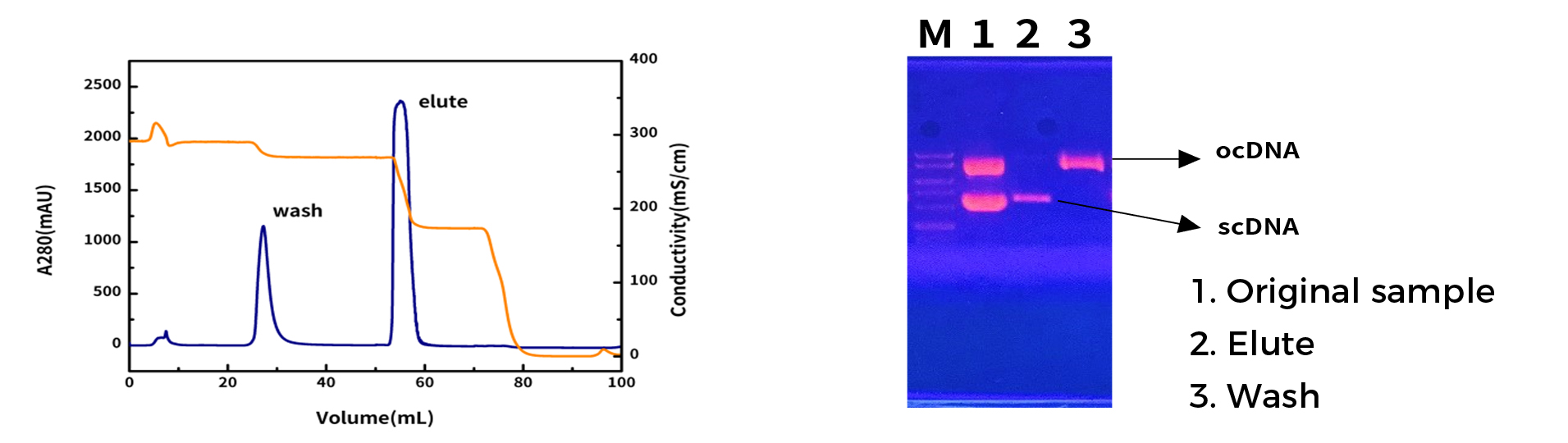 Hydrophobic interaction chromatography