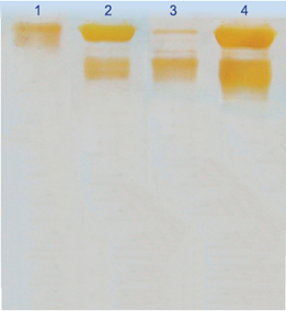 Heparin affinity resin