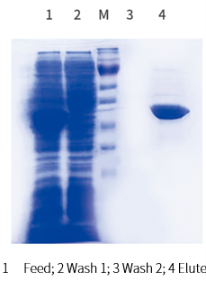 His-tag protein purification resin