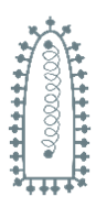 Oncolytic Virus