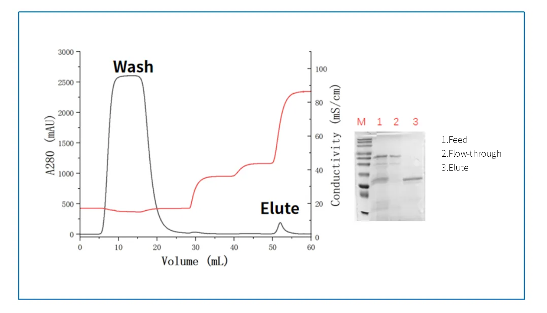 Mixed Mode Cation Chromatography Resin