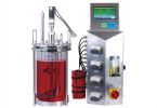 EF Series glass bioreactor