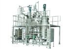 Stainless Steel Microbial Fermentation System